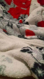 Gataonlyxx webcam model stream image