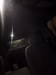 Beardedtattood webcam model stream image