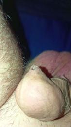 litorale40 webcam model stream image