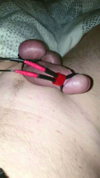 franky411 webcam model stream image