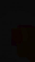 Th876 webcam model stream image