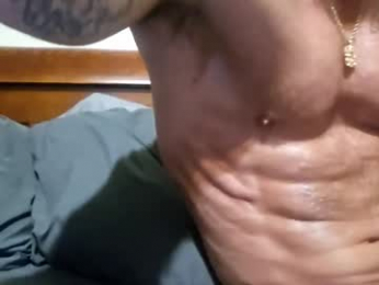 majordadbod101 webcam model stream image