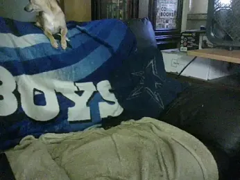 KinkyTOMan webcam model stream image