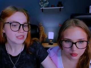 amelia-shiny webcam model stream image