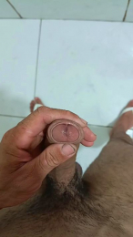 Meupaubranco webcam model stream image