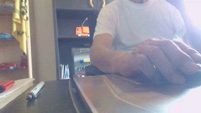 Linienpiilot webcam model stream image