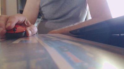 Linienpiilot webcam model stream image