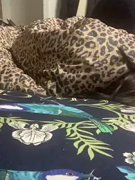 Hui521 webcam model stream image