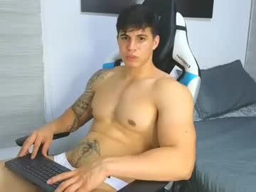 levelingg webcam model stream image