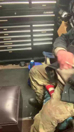 Shedoesntknow webcam model stream image