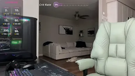Bigmcr webcam model stream image