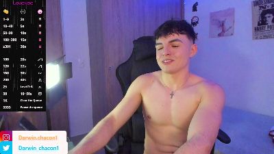Gaelvillada webcam model stream image