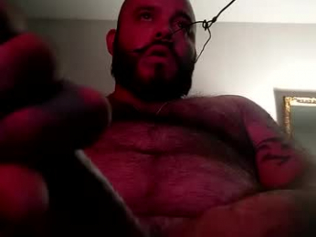 boredaf6678 webcam model stream image