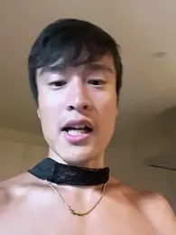 IroManager webcam model stream image