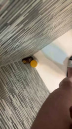 Wuis webcam model stream image