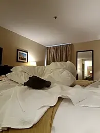 takcikarr webcam model stream image