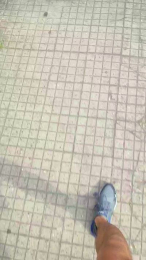 minex2 webcam model stream image