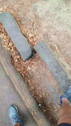 minex2 webcam model stream image