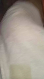 noicoppia71 webcam model stream image