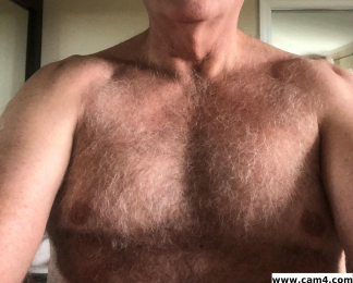 wsteel52 webcam model stream image