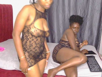 Coco-dime webcam model stream image