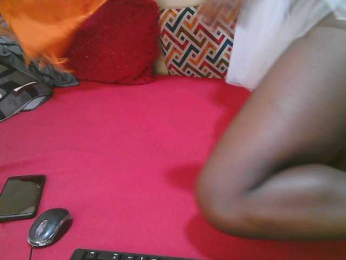 Petitelv webcam model stream image