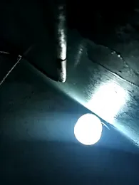 RandalHot webcam stripchat model stream image