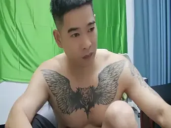 saigege webcam model stream image