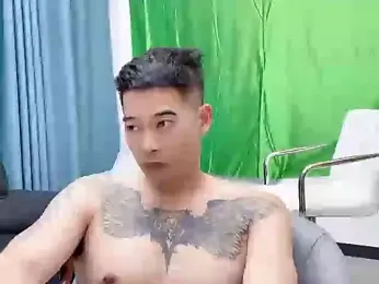 saigege webcam model stream image
