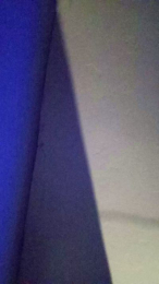 Fox_roxxan webcam model stream image