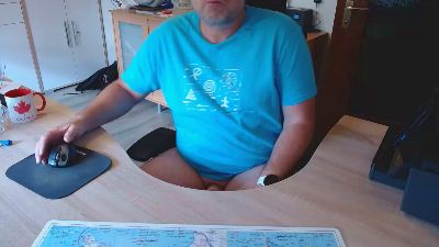 teamviewcum webcam model stream image