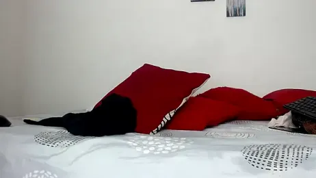 BrandonStond webcam model stream image