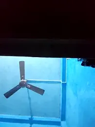 BlackCobraOwner webcam model stream image