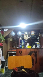 AlejandritaMilf webcam cam4 model stream image