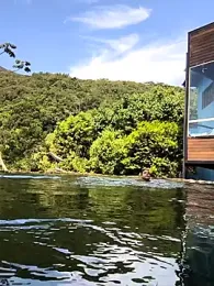 fox_2023 webcam stripchat model stream image