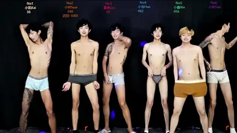 Zuihuiban webcam model stream image