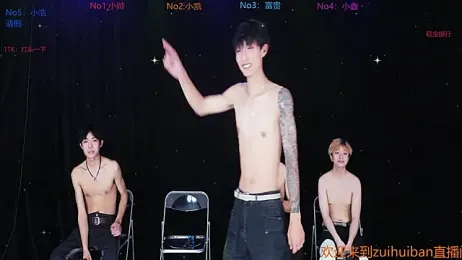 Zuihuiban webcam model stream image