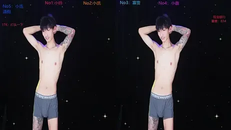 Zuihuiban webcam model stream image