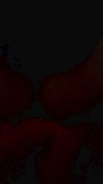 BDSMdomina_aix webcam model stream image