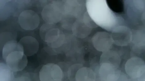 0815lukas2024 webcam model stream image