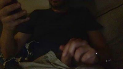 manuswiss webcam model stream image