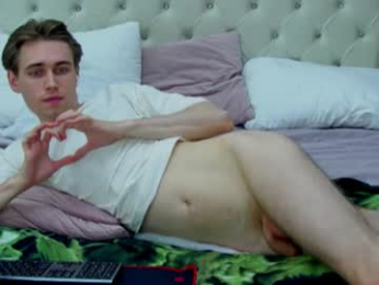williamdyson webcam model stream image