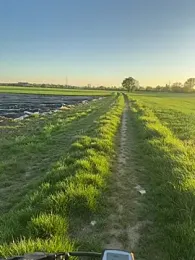 AmjadAlpha webcam stripchat model stream image