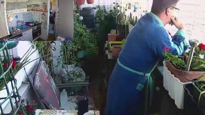 sweetnude83 webcam model stream image
