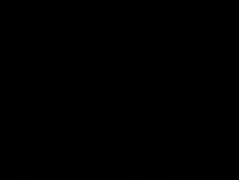 boy_trans webcam model stream image