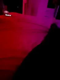 Brandi_Braulio webcam model stream image