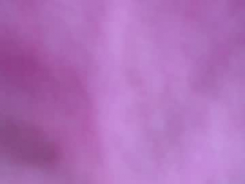 honey_sunshine7 webcam model stream image