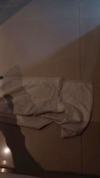 pretoriaan webcam model stream image