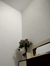 Rocky_boy4 webcam model stream image