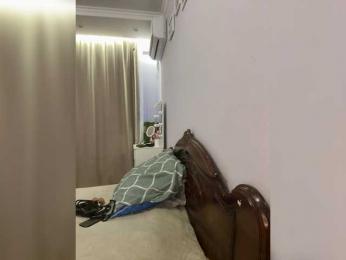 Pirmir3737 webcam model stream image